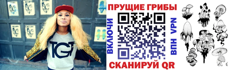 где найти наркотики  Питкяранта  Псилоцибиновые грибы Cubensis 